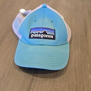 Patagonia Blue Trucker Hat